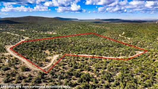 1399 N Thunder Ridge Ranch Road Lot# 1399, Seligman, Arizona 86337, USA