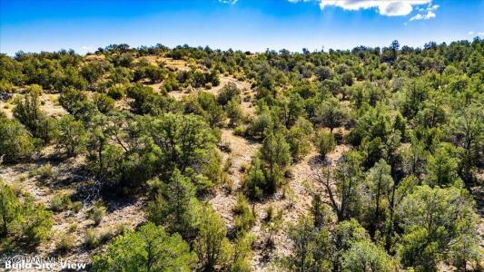 1399 N Thunder Ridge Ranch Road Lot# 1399, Seligman, Arizona 86337, États-Unis