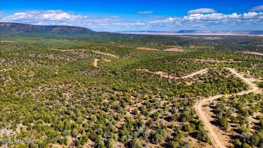 1399 N Thunder Ridge Ranch Road Lot# 1399, Seligman, Arizona 86337, États-Unis