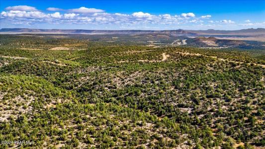 1399 N Thunder Ridge Ranch Road Lot# 1399, Seligman, Arizona 86337, États-Unis