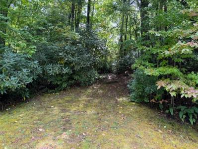 000 Gateway Dr #10, Hendersonville, ノースカロライナ 28739, アメリカ合衆国