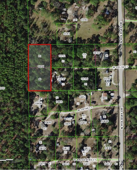 7970 W Delta Court, Crystal River, Floryda 34429, USA