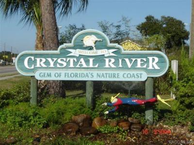 7970 W Delta Court, Crystal River, Floryda 34429, USA