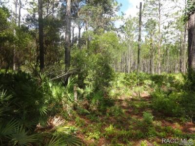 7970 W Delta Court, Crystal River, Floryda 34429, USA