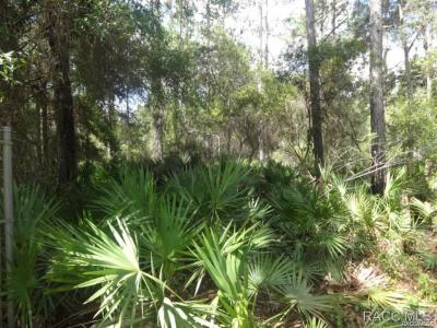 7970 W Delta Court, Crystal River, Floryda 34429, USA
