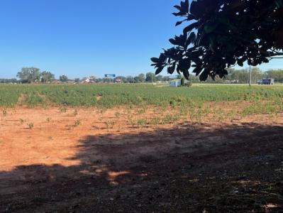 0 Wilson Dam Rd. S, Mluscle Shoals, ألاباما 35661, الولايات المتحدة