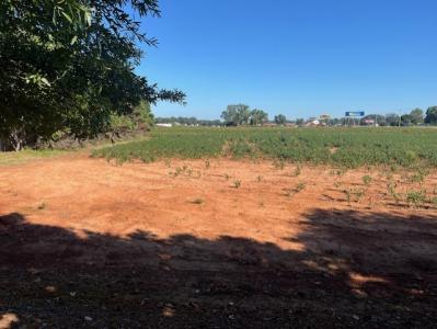 0 Wilson Dam Rd. S, Mluscle Shoals, ألاباما 35661, الولايات المتحدة