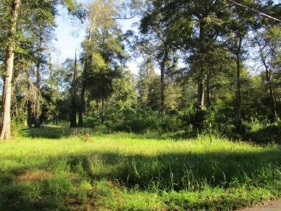 39501 DEAN Road, Slidell, Louisiana 70458, USA