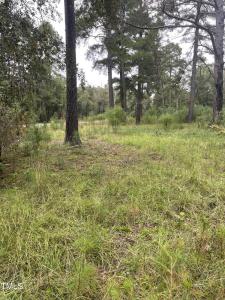 Lot 31 Creek Bend Drive, Vass, NC 28394, USA