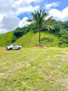 San Juan de Mata Turrubáres, San José 61105, Costa Rica