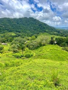 San Juan de Mata Turrubáres, San José 61105, Costa Rica