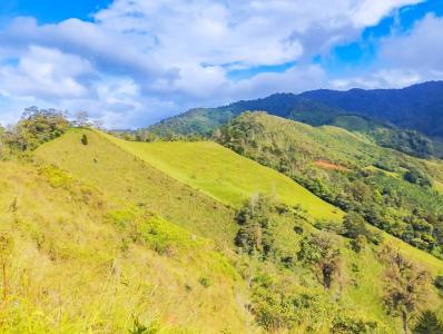 Rivas Pérez Zeledón, San José 11904, Costa Rica