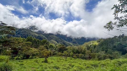 Rivas Pérez Zeledón, San José 11904, Costa Rica