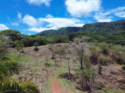 Bahía Ballena Osa, Puntarenas 00001, Costa Rica