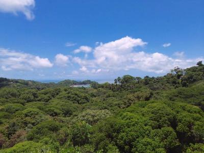 Bahía Ballena Osa, Puntarenas 00001, Kosta Rika