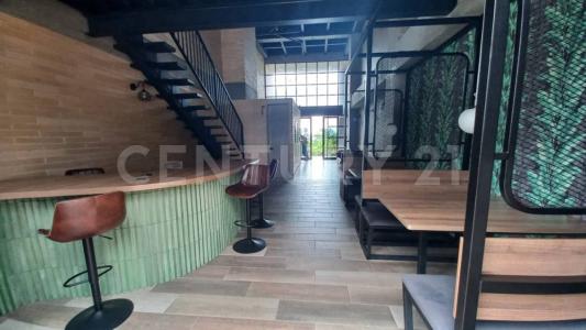 Armenia, Quindío 630004, Colombia