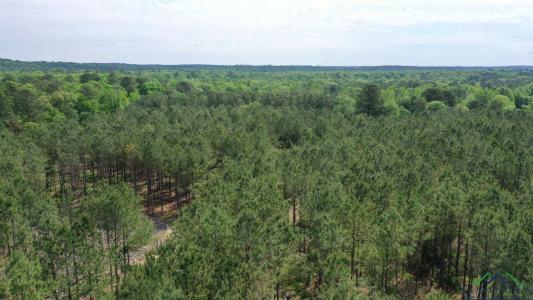 0003 County Road 1926 Tract 3, Linden, Texas 75563, États-Unis