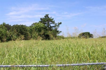 5700 (TBD) N Jackson St., Jacksonville, Texas 75766, HOA KỲ