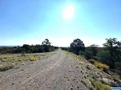XX Apache Mound Rd, Silver City, NM 88061, USA