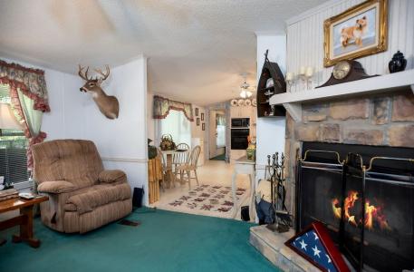 369 Mulberry Lane, Zavalla, Texas 75980, USA