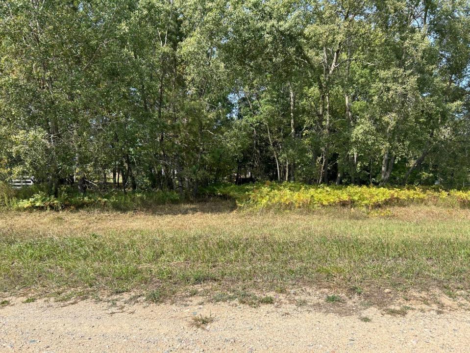 8730 125th Avenue, Stanwood, 密西根州 49346, 美國
