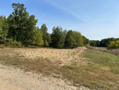 8730 125th Avenue, Stanwood, 密西根州 49346, 美國