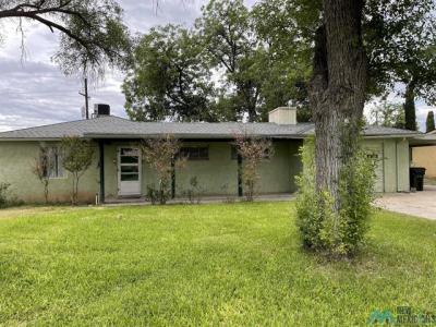 1209 W. Ural Street, Carlsbad, NM 88220, USA