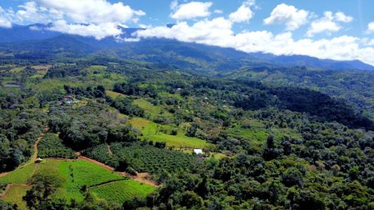 Cajón Pérez Zeledón, San José 00001, Costa Rica