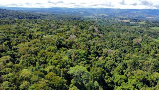 Cajón Pérez Zeledón, San José 00001, Costa Rica