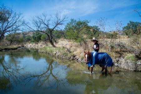 El Vinatero, Los Manantiales S/N,, San Miguel De Allende, Guanajuato 37720, México
