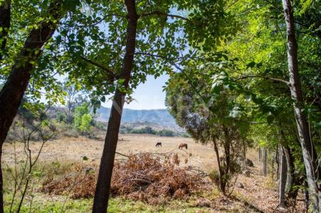 El Vinatero, Los Manantiales S/N,, San Miguel De Allende, Guanajuato 37720, México