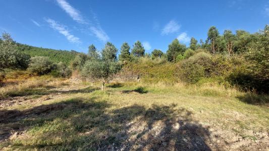 Idanha A Nova, Castelo Branco 6060-337, Portugal