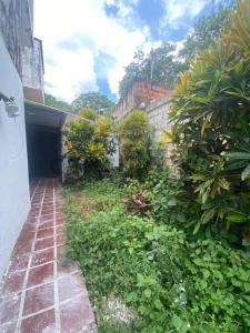 2 el rincon, Naguanagua, Carabobo 00001, 委内瑞拉