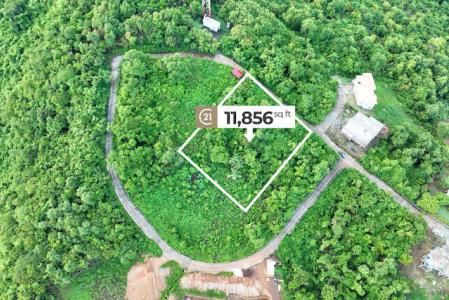 Hope City - Lot  No.120 D, Hope City, Hope, St.Andrew West Indies, Grenada