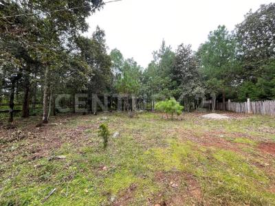 Comunidad San Jose Buenavista, carretera a corralito. s/n,, San Cristóbal De Las Casas, Chiapas 29201, Mexico