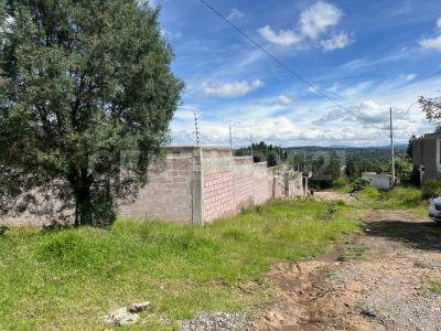 QUINTA PRIVADA CALLE TERRAZAS SN,, Apetatitlán De A Carbajal, 特拉斯卡拉 90606, 墨西哥