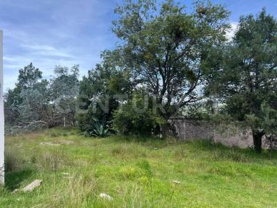 QUINTA PRIVADA CALLE TERRAZAS SN,, Apetatitlán De A Carbajal, 特拉斯卡拉 90606, 墨西哥