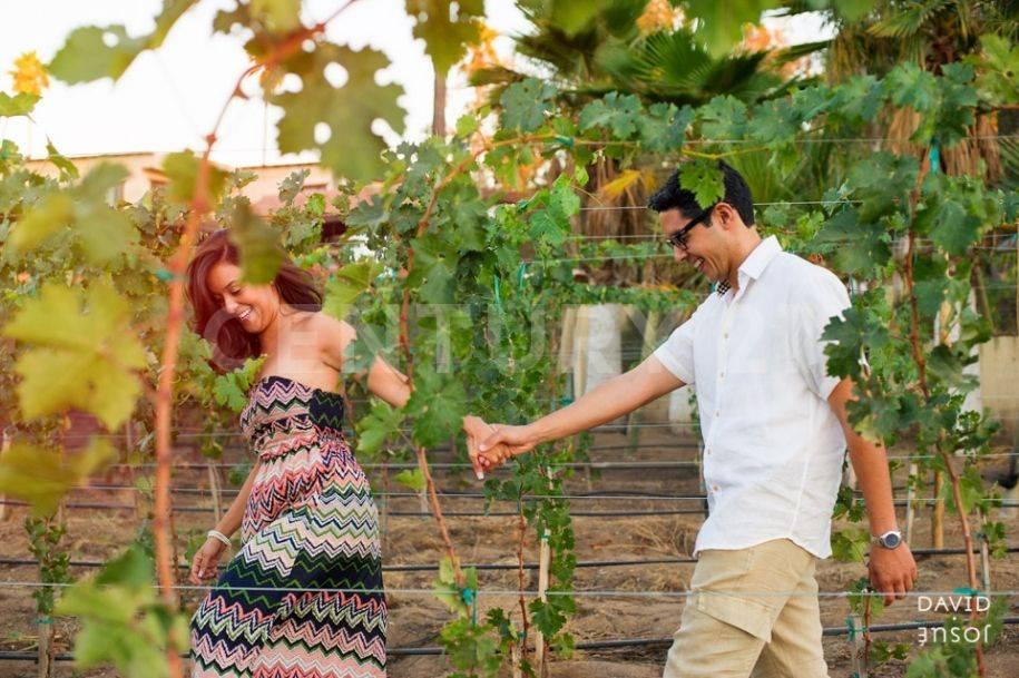 CARRETERA LIBRE TECATE ENSENADA KM 10,, Tecate, Basse-Californie 21507, Mexique