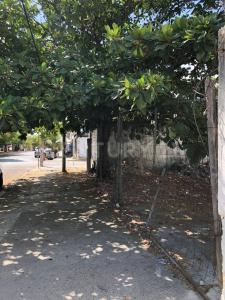 Solidaridad / Riviera Maya, Quintana Roo 77728, Mexico