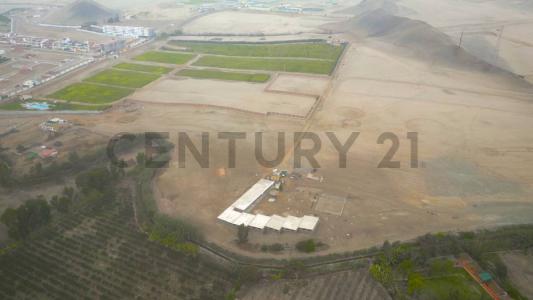 LM 855 , Cañete, Lima 00001, 秘魯