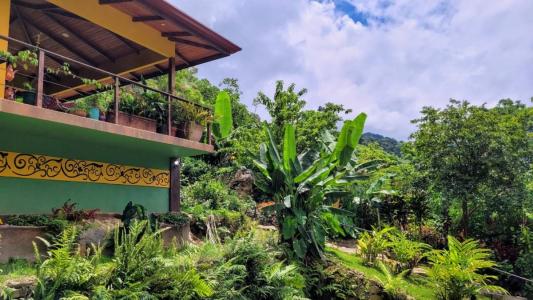 san gerardo , Rivas Pérez Zeledón, San José 00001, Коста-Рика