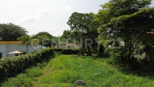 Higueras  en Campestre Cómala 16,, Comala, Colima 28450, Meksyk