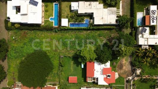 Higueras  en Campestre Cómala 16,, Comala, Colima 28450, Meksyk