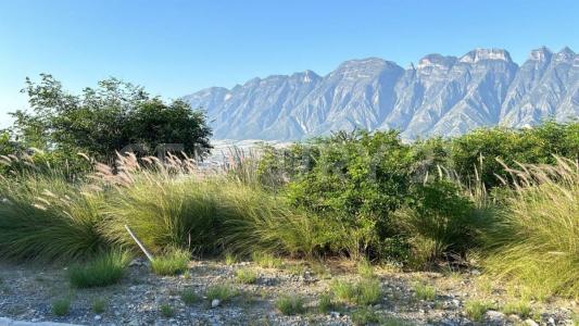 Santa Catarina, Nuevo León 66188, Mexique