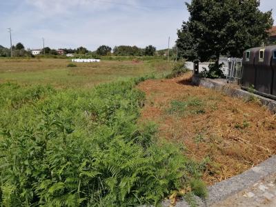 Vouzela, Viseu 3670-173, Portugal