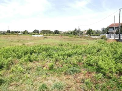 Vouzela, Viseu 3670-173, Portugal