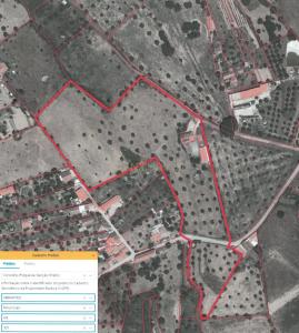 Abrantes, Santarém 2200-671, Portugal
