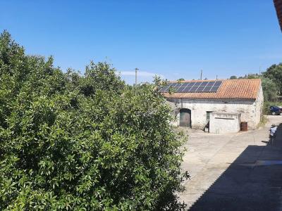 Abrantes, 圣塔伦 2200-671, 葡萄牙