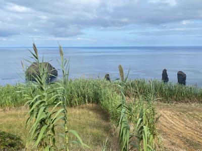 Ponta Delgada, São Miguel 9555-121, Portugal