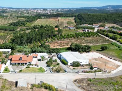 Bombarral, Leiria 2540-185, Portugal